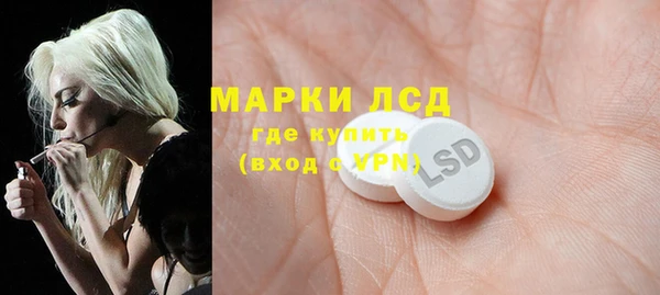трава Арсеньев