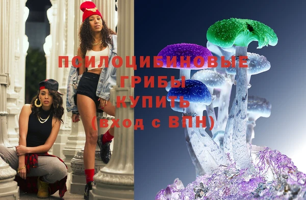 мет Пестово