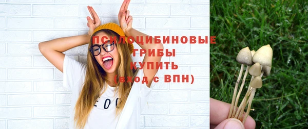 спайс Аркадак